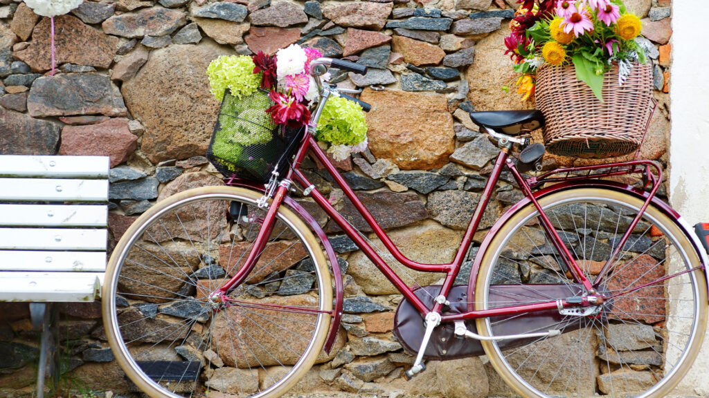 Vintage bicycle images top
